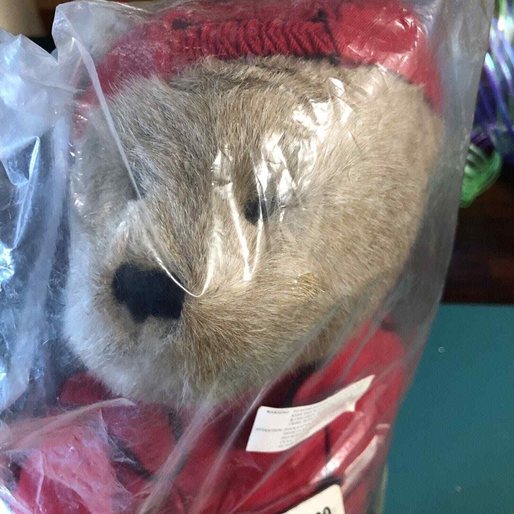 Boyds Bear Doll Dale Earnhardt Jr #8 NASCAR Plush‎ Collection New Unopened 10" - Picture 2 of 8